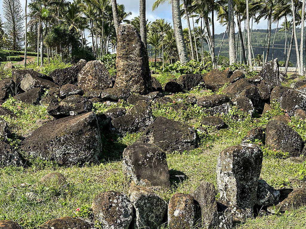Hikinaakalia Heiau, Kauai, Hawaii by Carolyn Todd-Larson