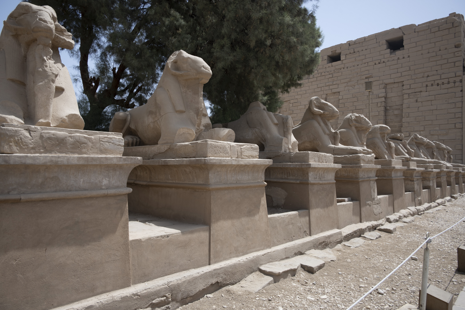 Lions Row at Karnak Egypt by Phyllis Peterson