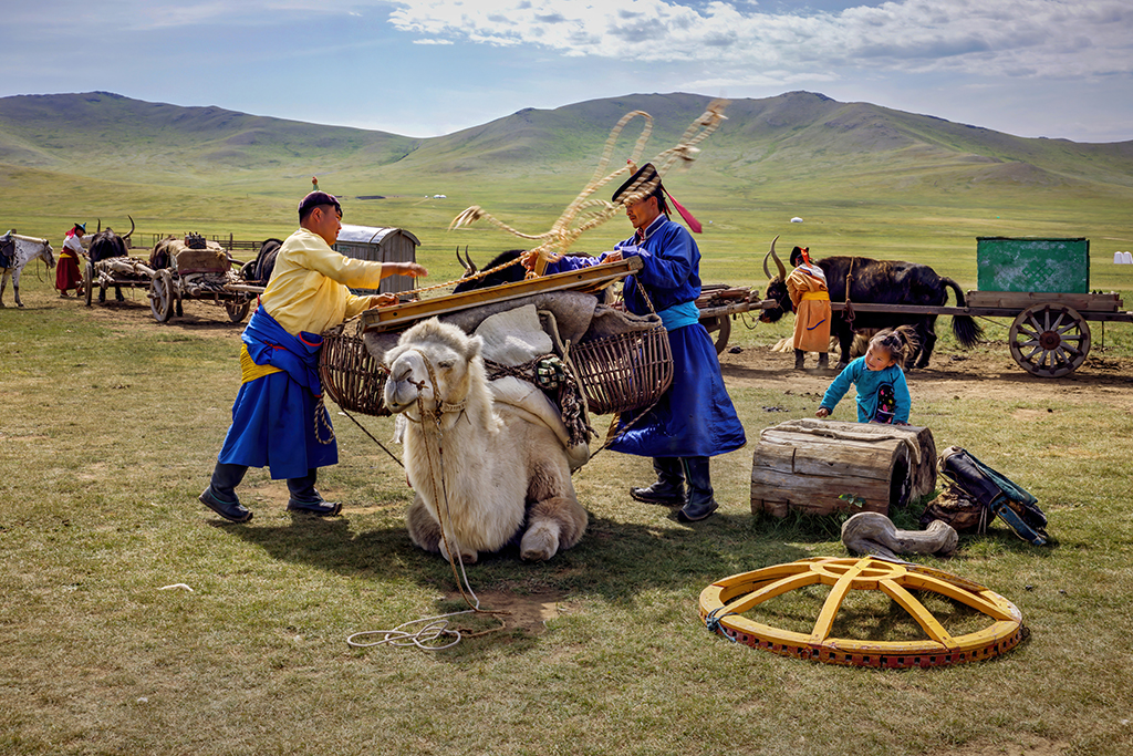 Mongolian Life by David Somali-Chow