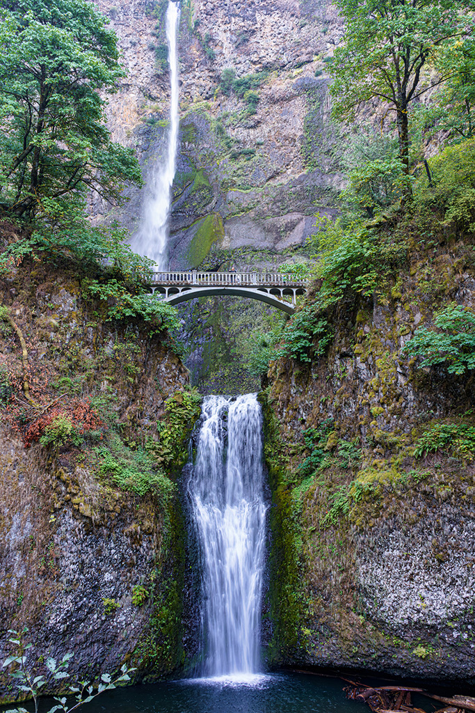 Multnomah Falls by Carolyn Todd-Larson