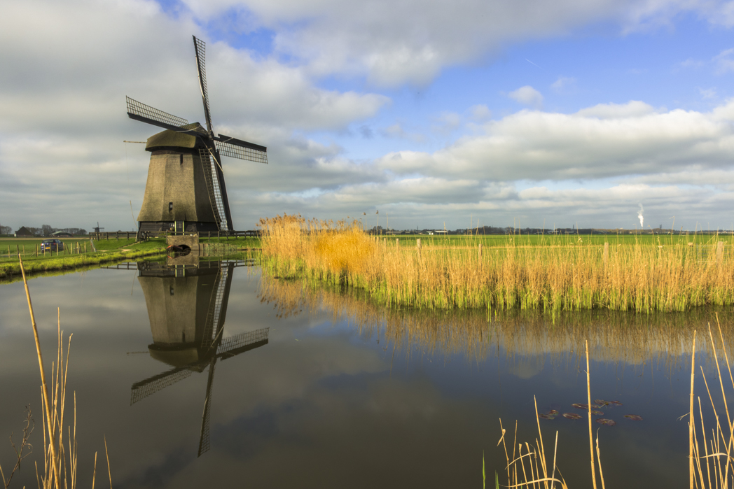 Windmill with Early Morning Light by Phyllis Peterson