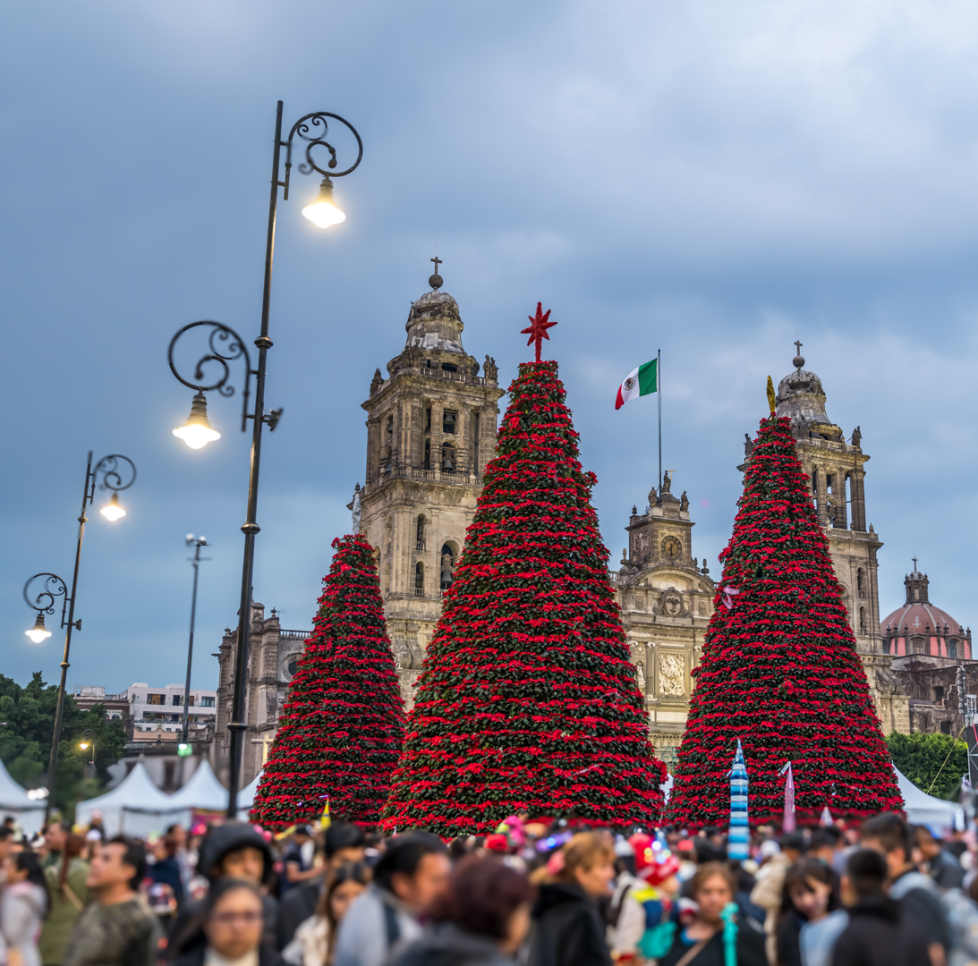 Mexico City Christmas Celebration by Pinaki Sarkar