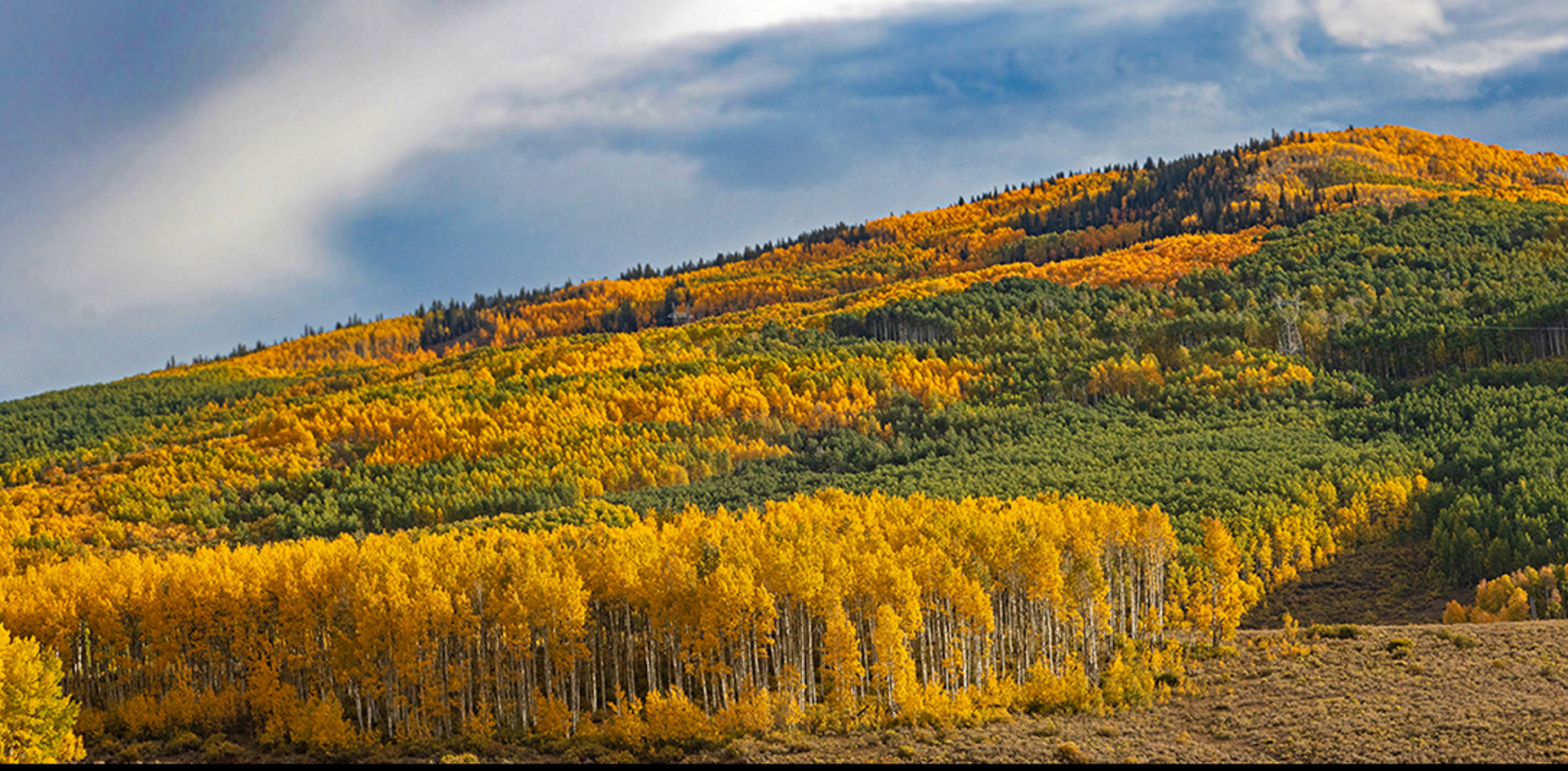 Colorado Campsite View by Leslie Larson