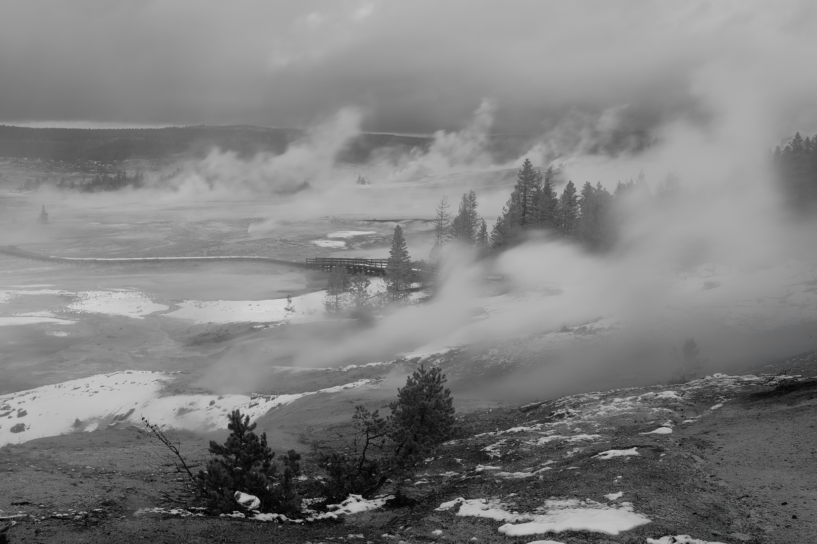 Yellowstone Norris Basin