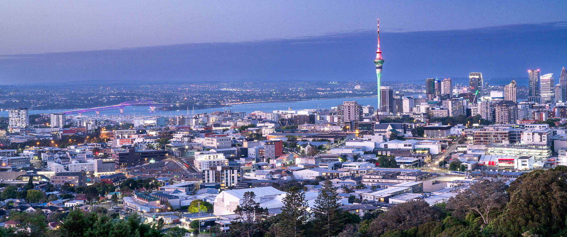 Auckland Skyline