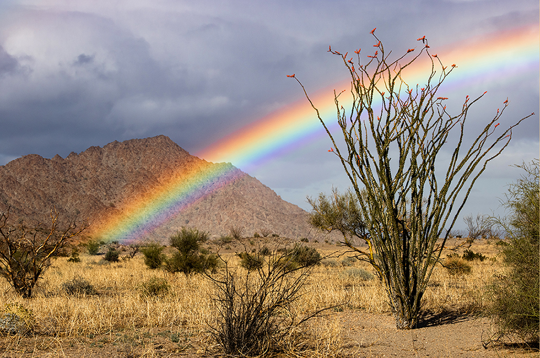 Baja CA Rainbow by Leslie Larson