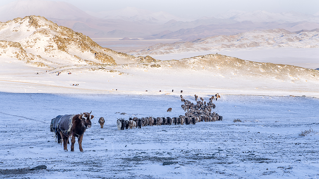 Kazakh Herd Movement by Lillian Roberts