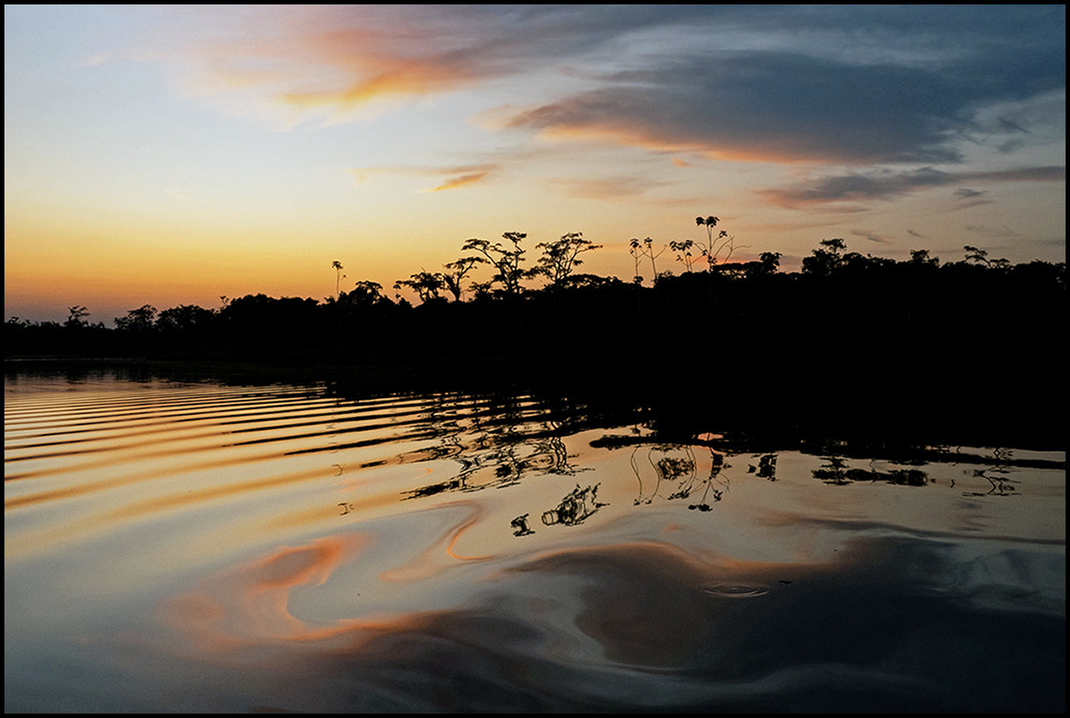 Amazon Basin in Ecuador by Leslie Larson
