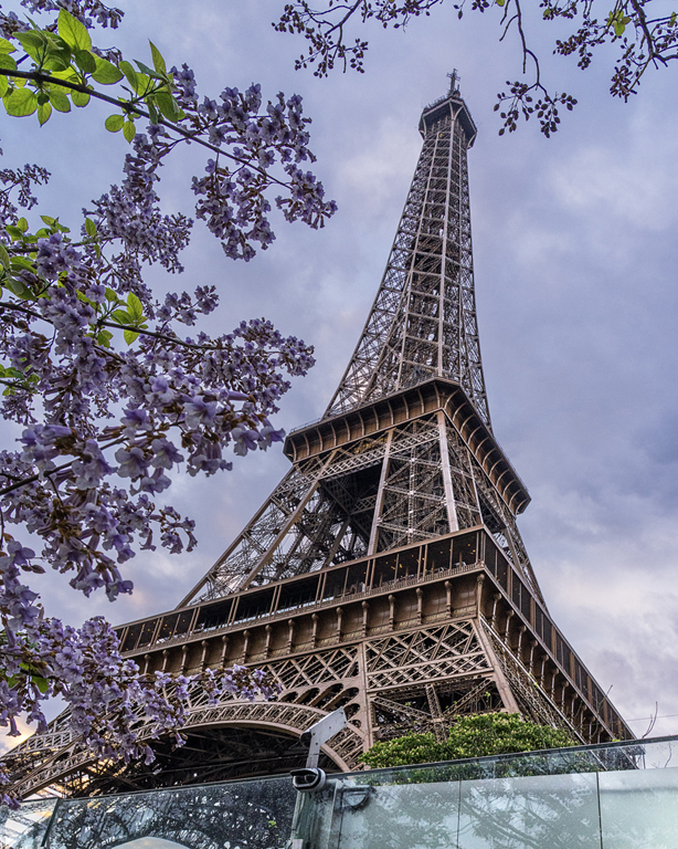 Eiffel Tower by Lillian Roberts