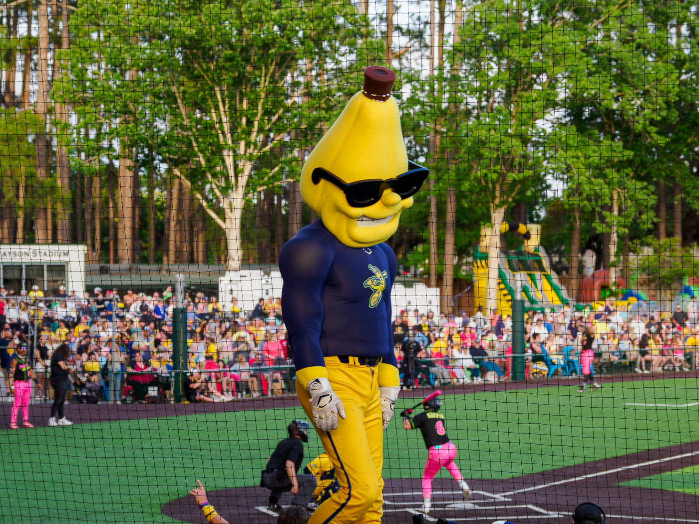 Savannah Bananas by Richard Distlerath