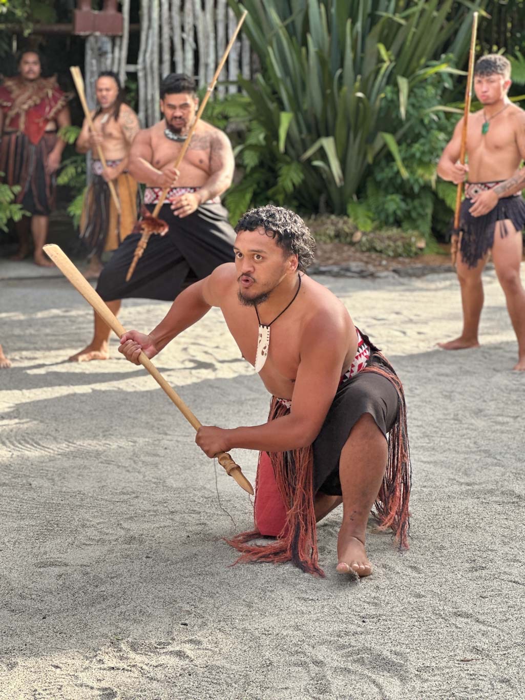 Māori show