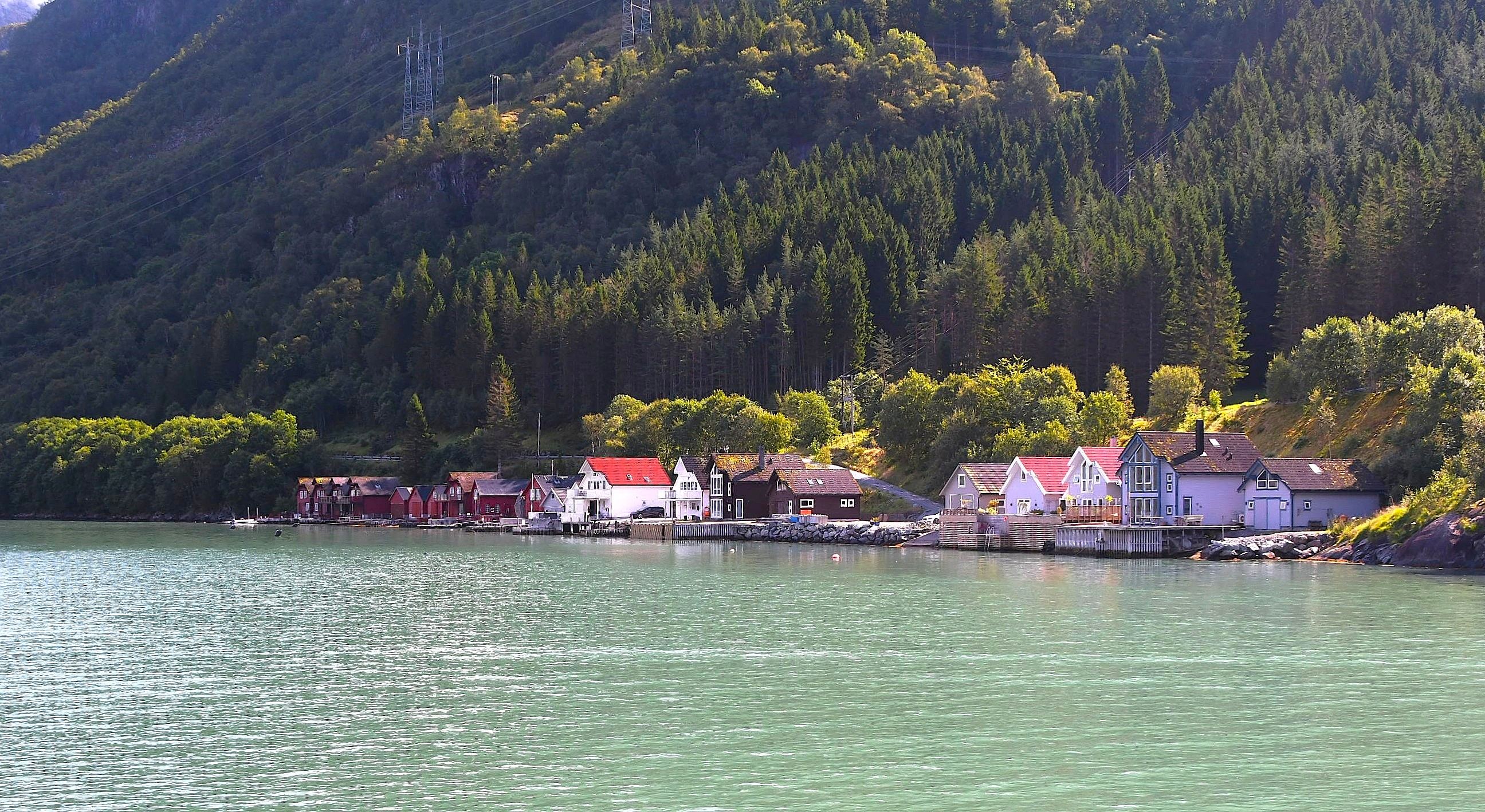Norwegian Fjord Village in Green by Susan Lincke