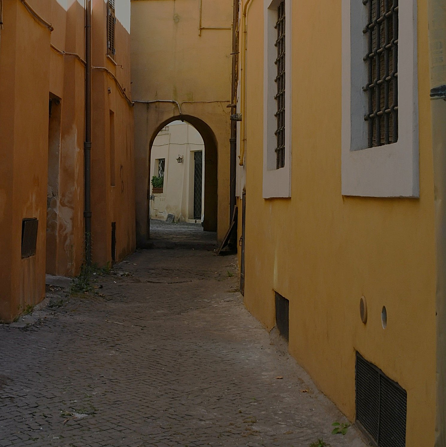 Path into the Roman Past by Susan Lincke