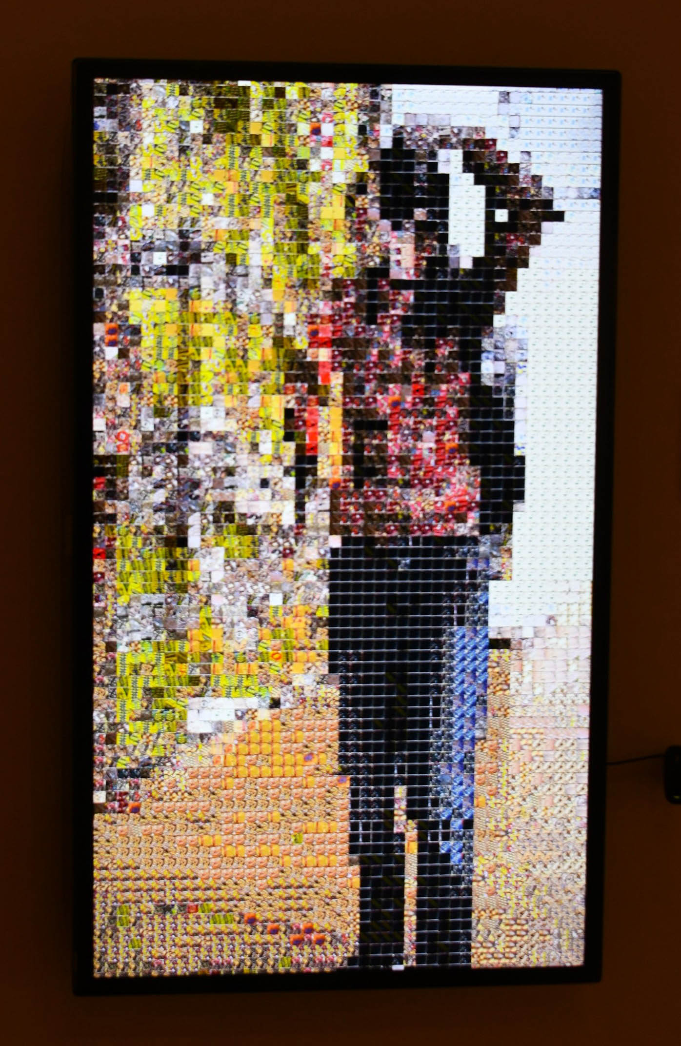 NC Museum of Art: Digital Display by Susan Lincke