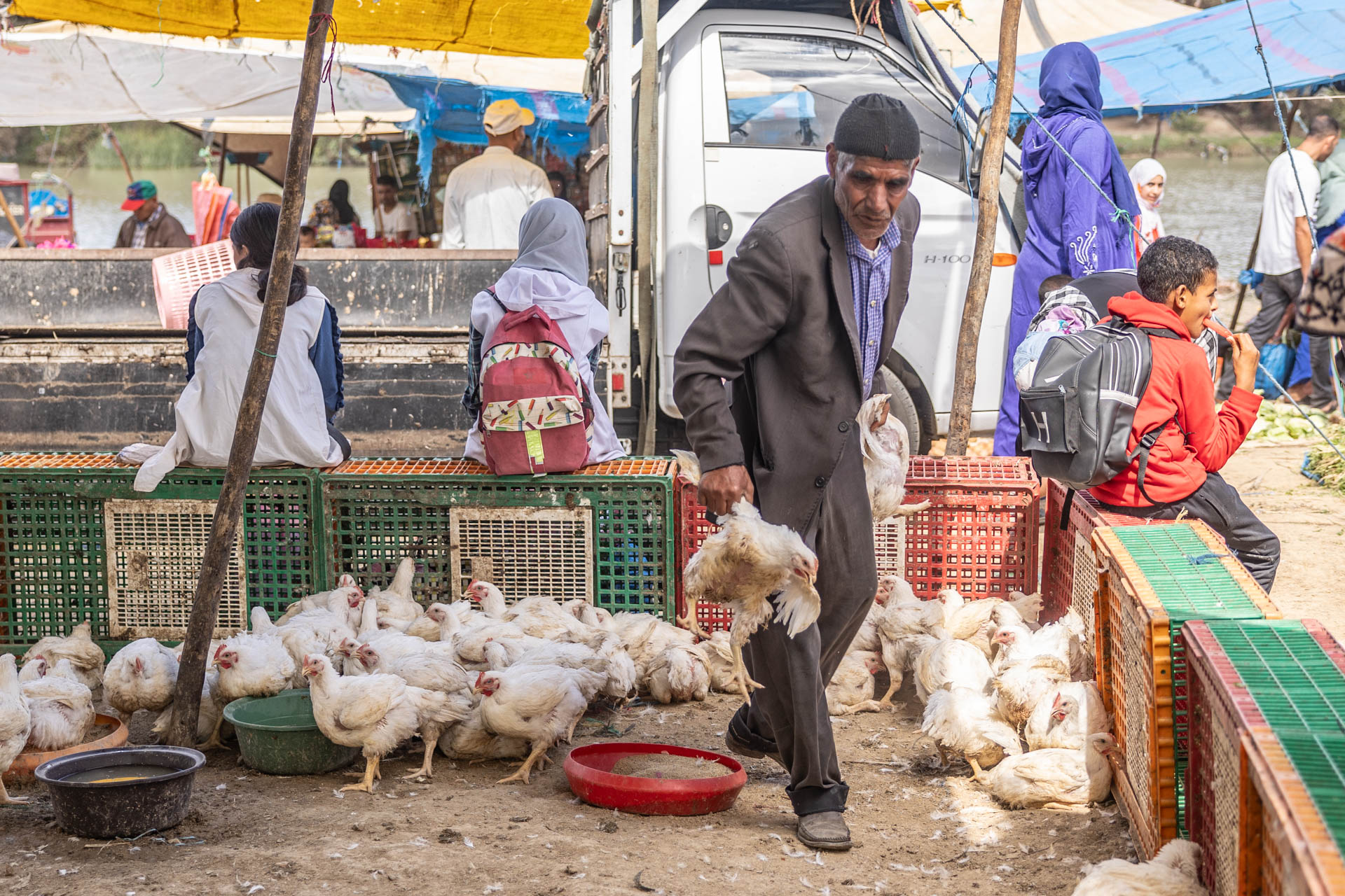 Country Market Butcher