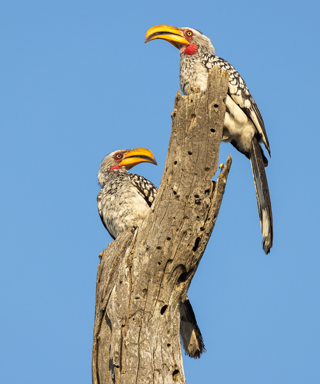 Initial inspection by Deborah Albert