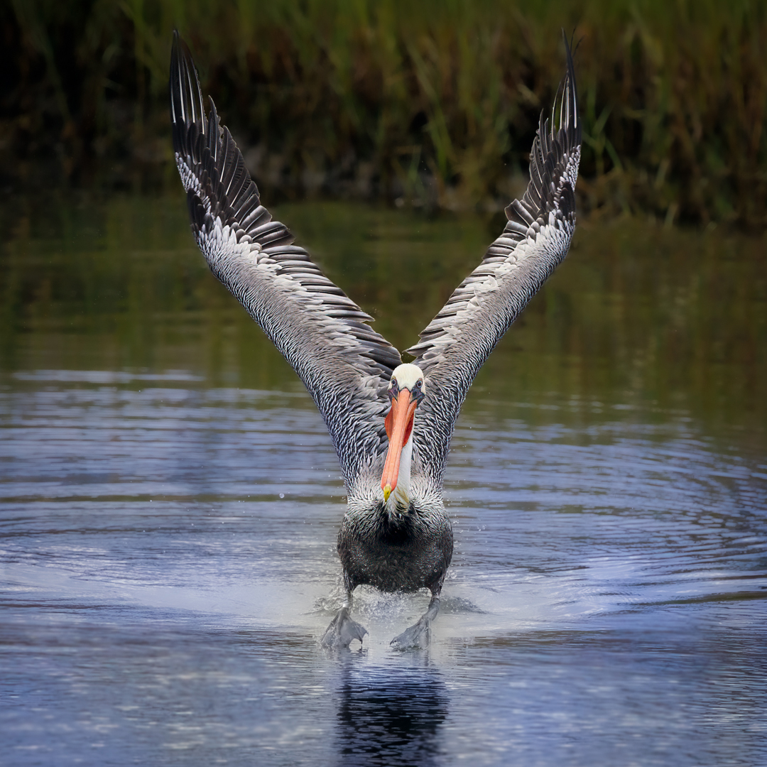Walking on Water by Debbie Porter