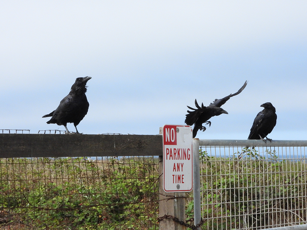 February 2026 - Darcy Quimby