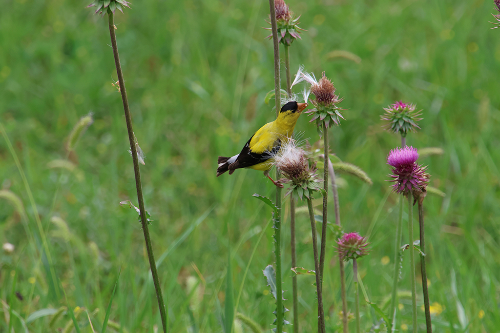 January 2026 - Darcy Quimby