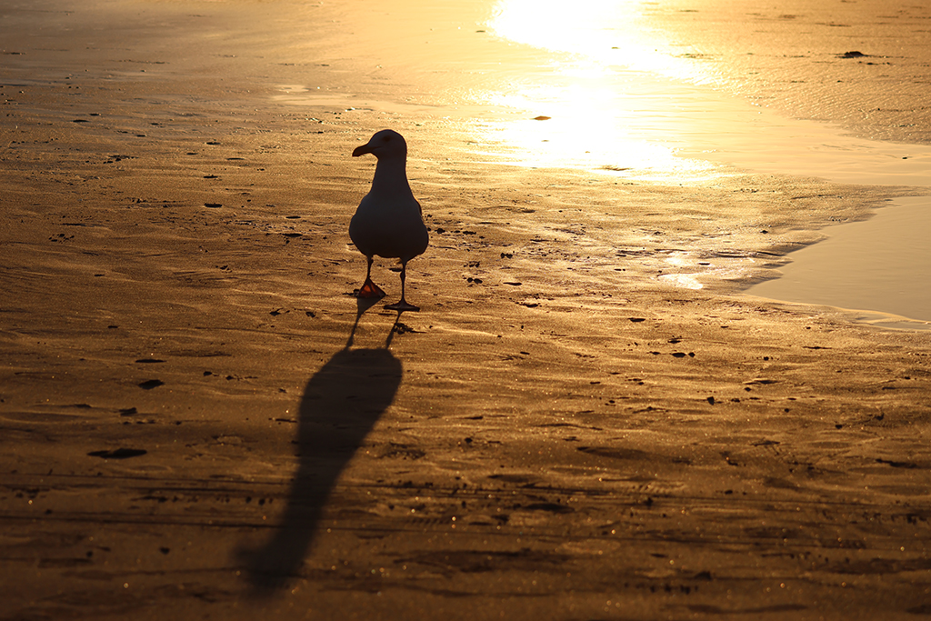 November 2025 - Darcy Quimby