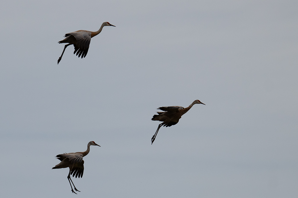 March 2026 - Darcy Quimby