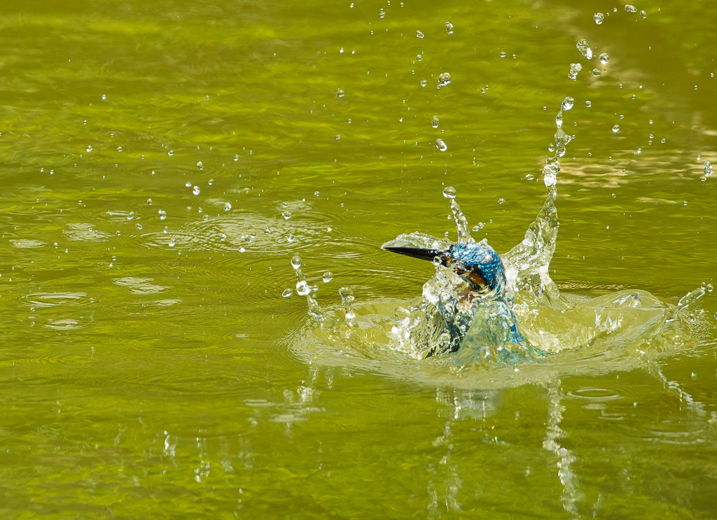 Surface break by Deborah Albert