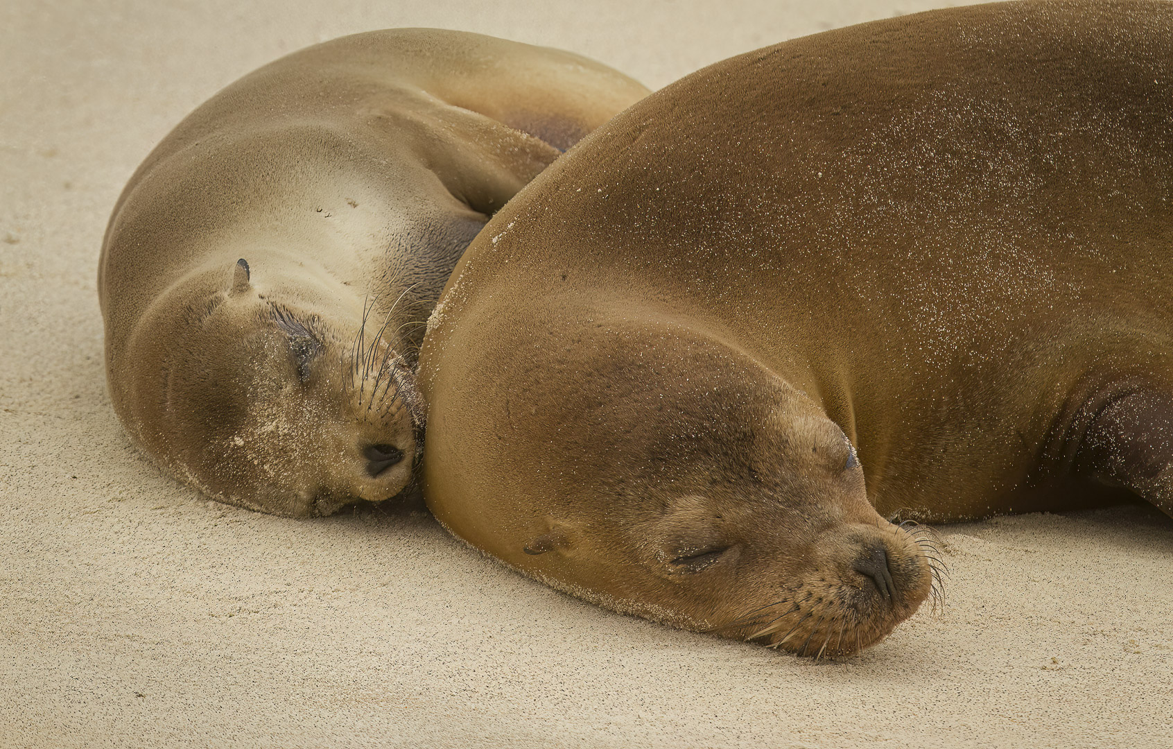 Mom and Daughter Resting 