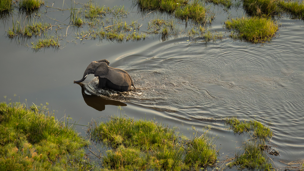 Waterworld  by Deborah Albert