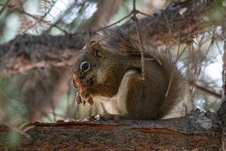 February 2026 - Darcy Quimby