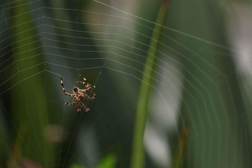 November 2025 - Darcy Quimby