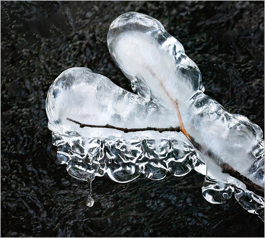 MI Bond Falls by Lee Marin