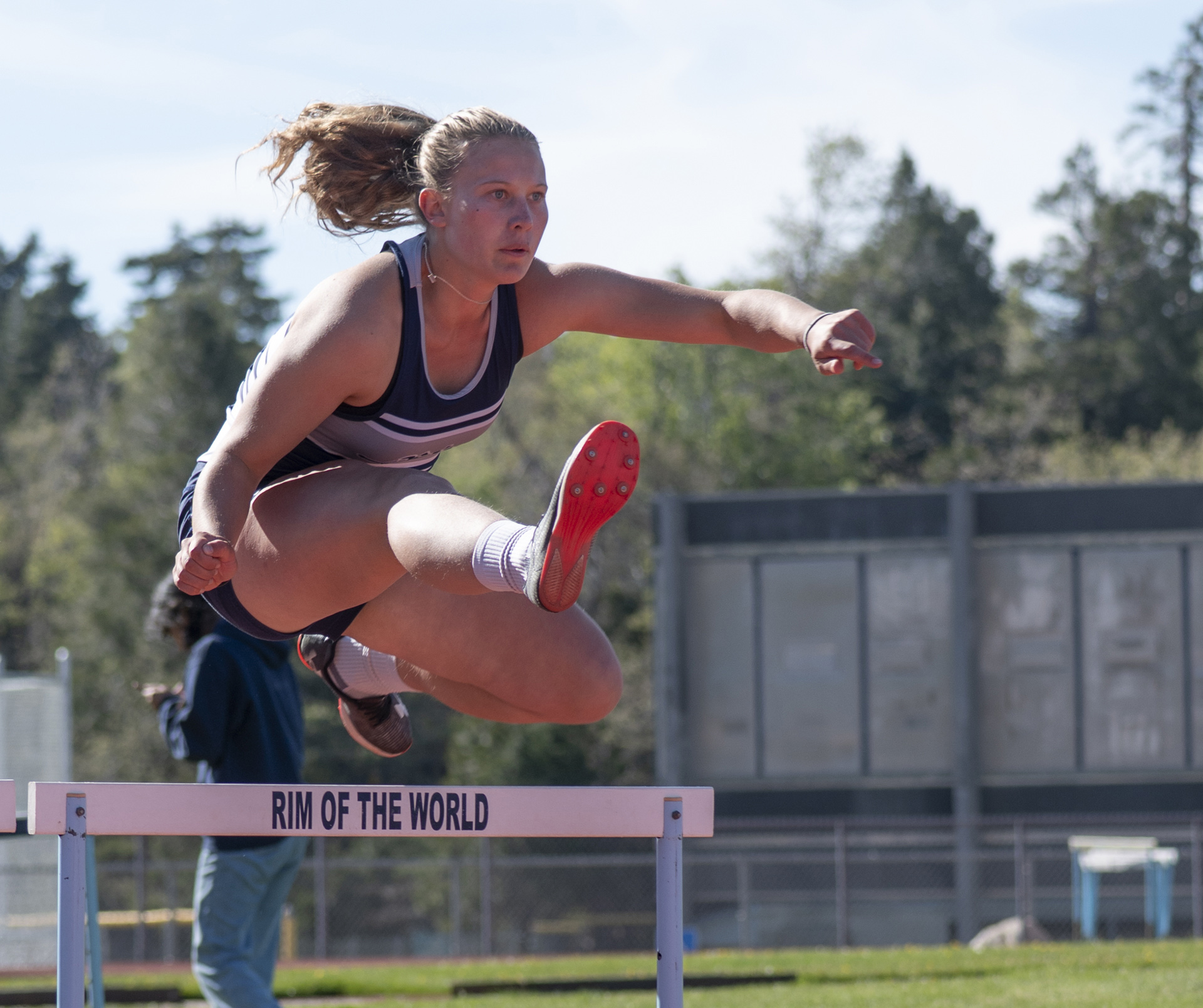 Girl Hurdler by Dave Ficke