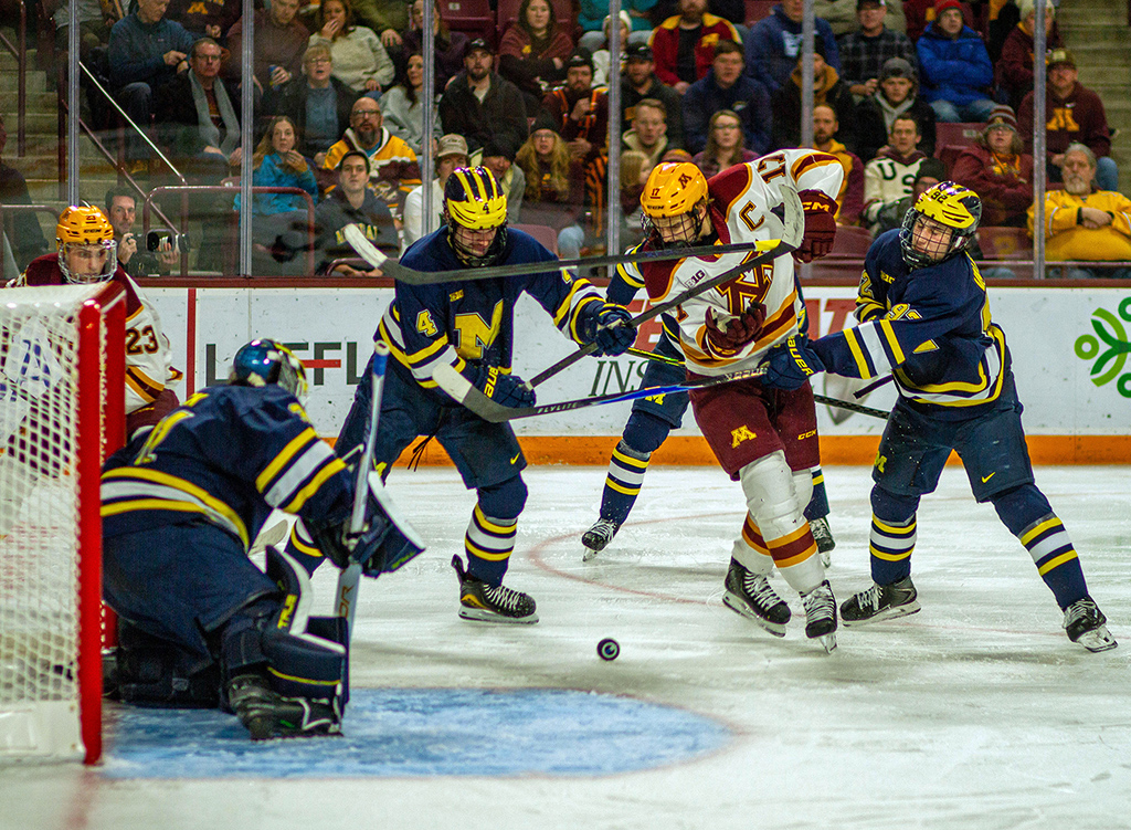 Michigan High Sticks