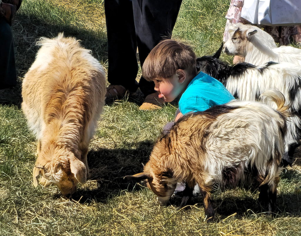 Getting Acquainted by Ardeth Carlson