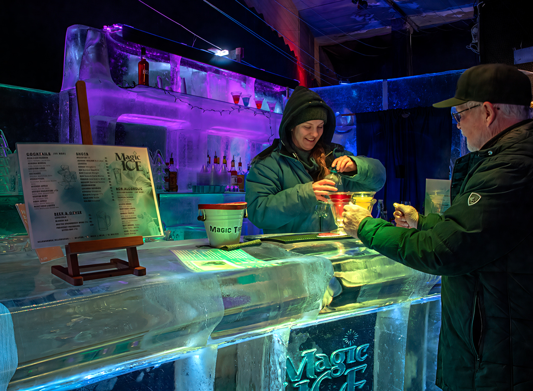 Ice Cold by Ardeth Carlson