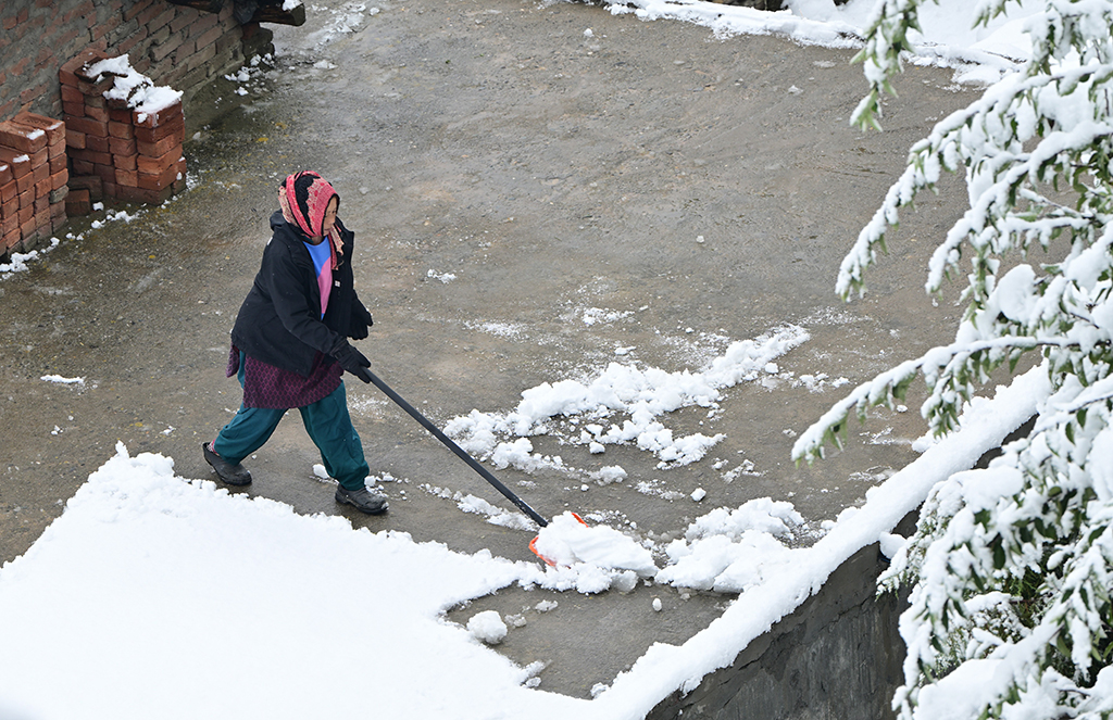 Snow time by Subhash Sapru