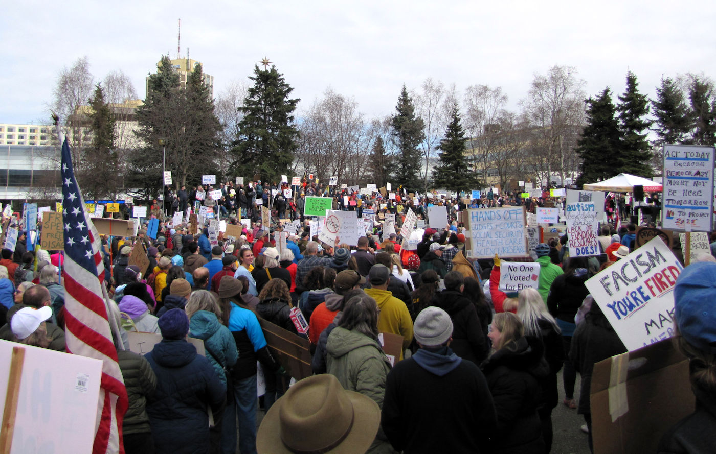 So Much to Protest by Birgit Langmann