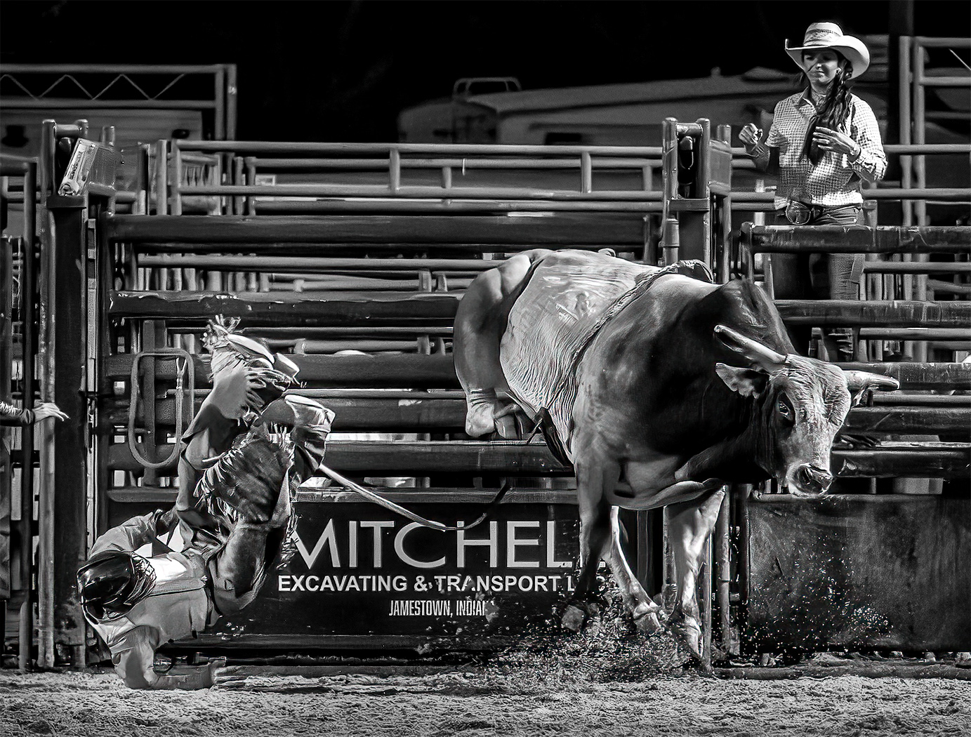 Bull Dumps Rider