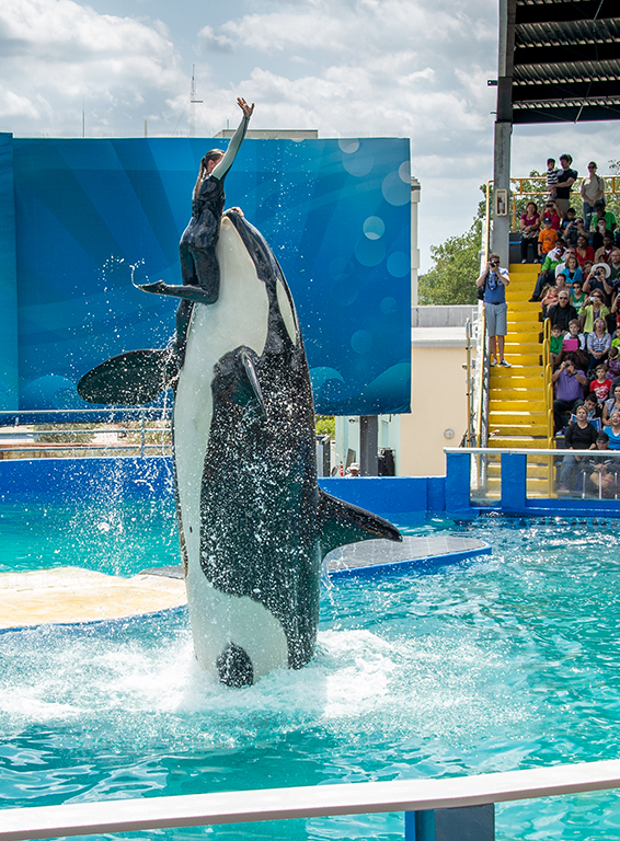 November 2025 - Dr Isaac Vaisman, APSA, PPSA