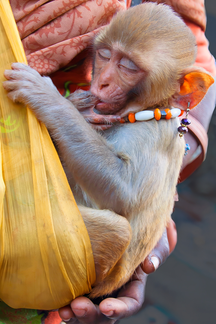 Motherhood by Vinaya Mathews