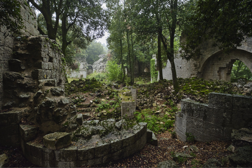 Santissima Trinita' Monte Sacro Abbey by Michele Borgarelli