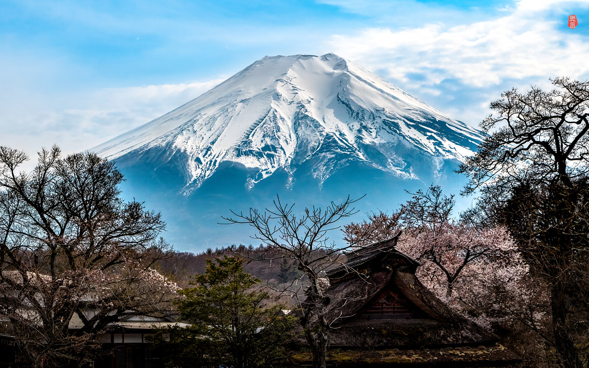 Mount Fuji by Tom Lee