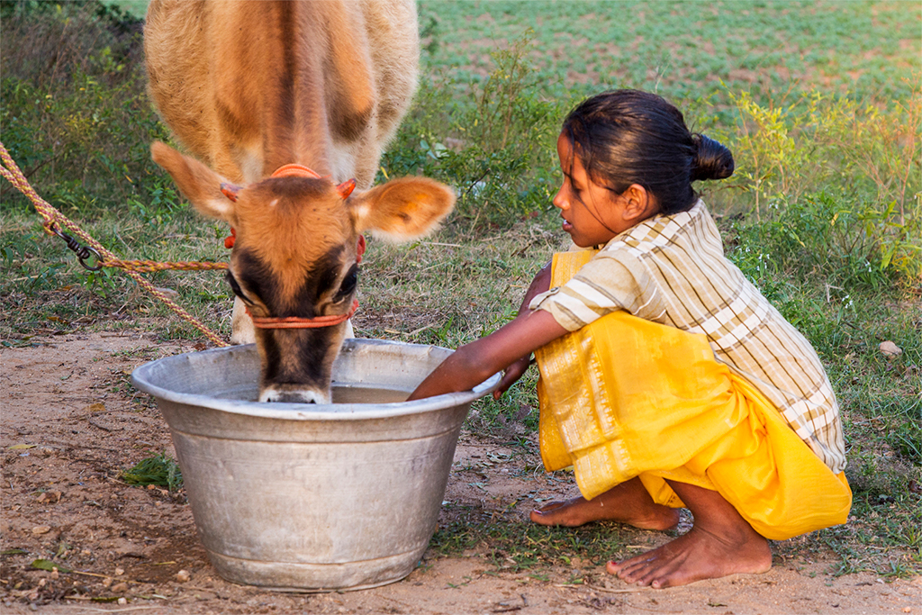 Caring by Vinaya Mathews