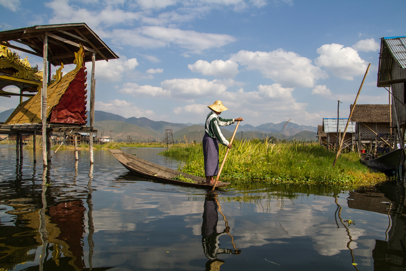 "Harvesting Water Hibiscus" by Shirley Bormann, APSA, EPSA