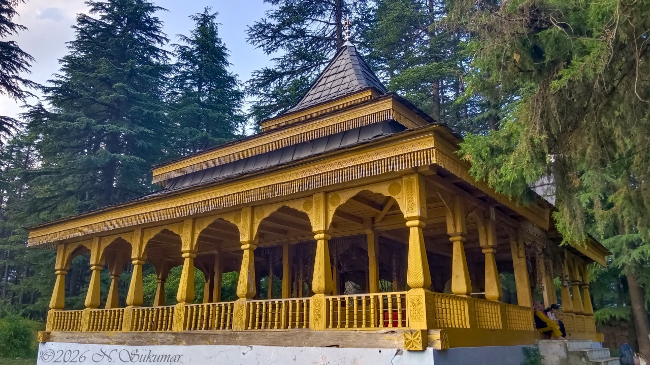 Forest Shrine by N. Sukumar
