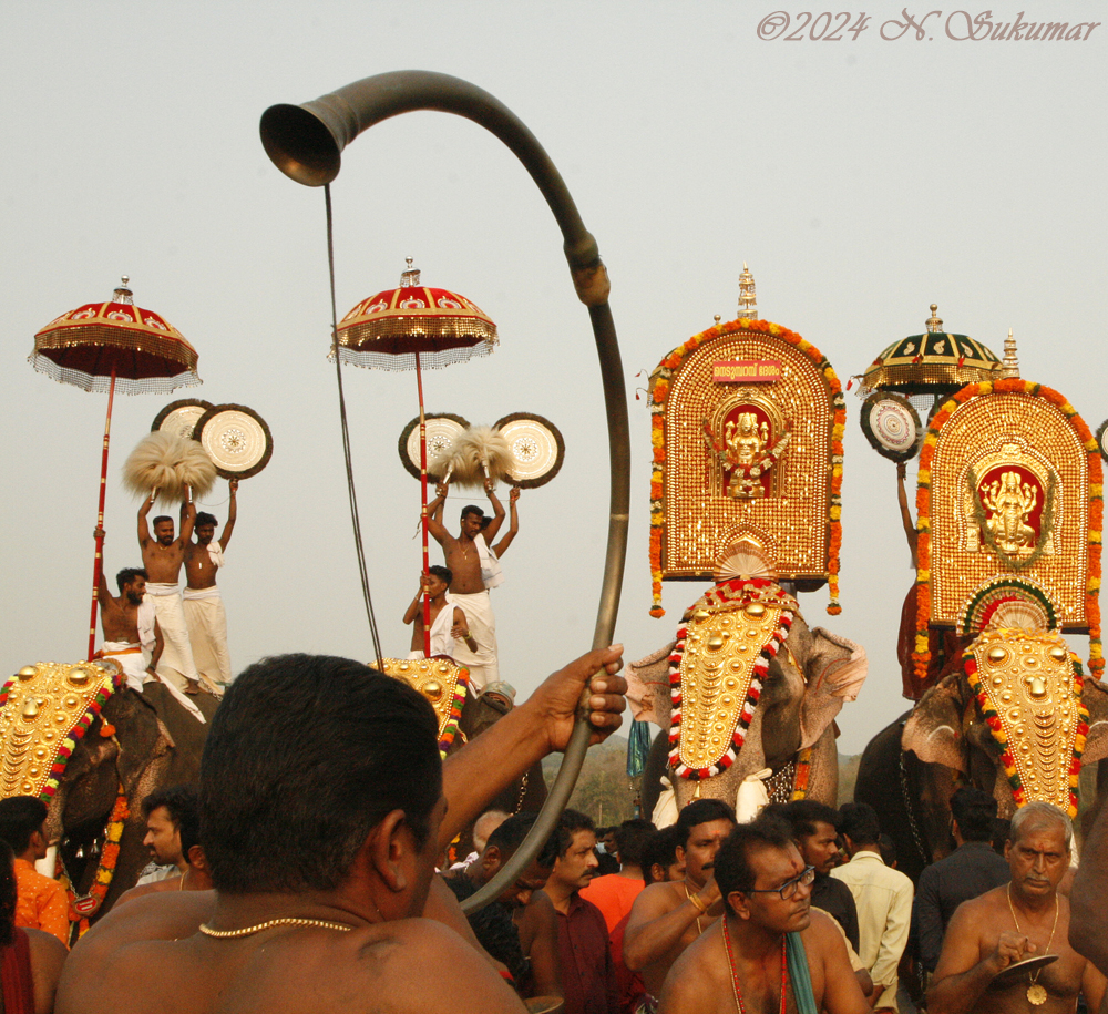 Elephant procession, Kerala by N. Sukumar