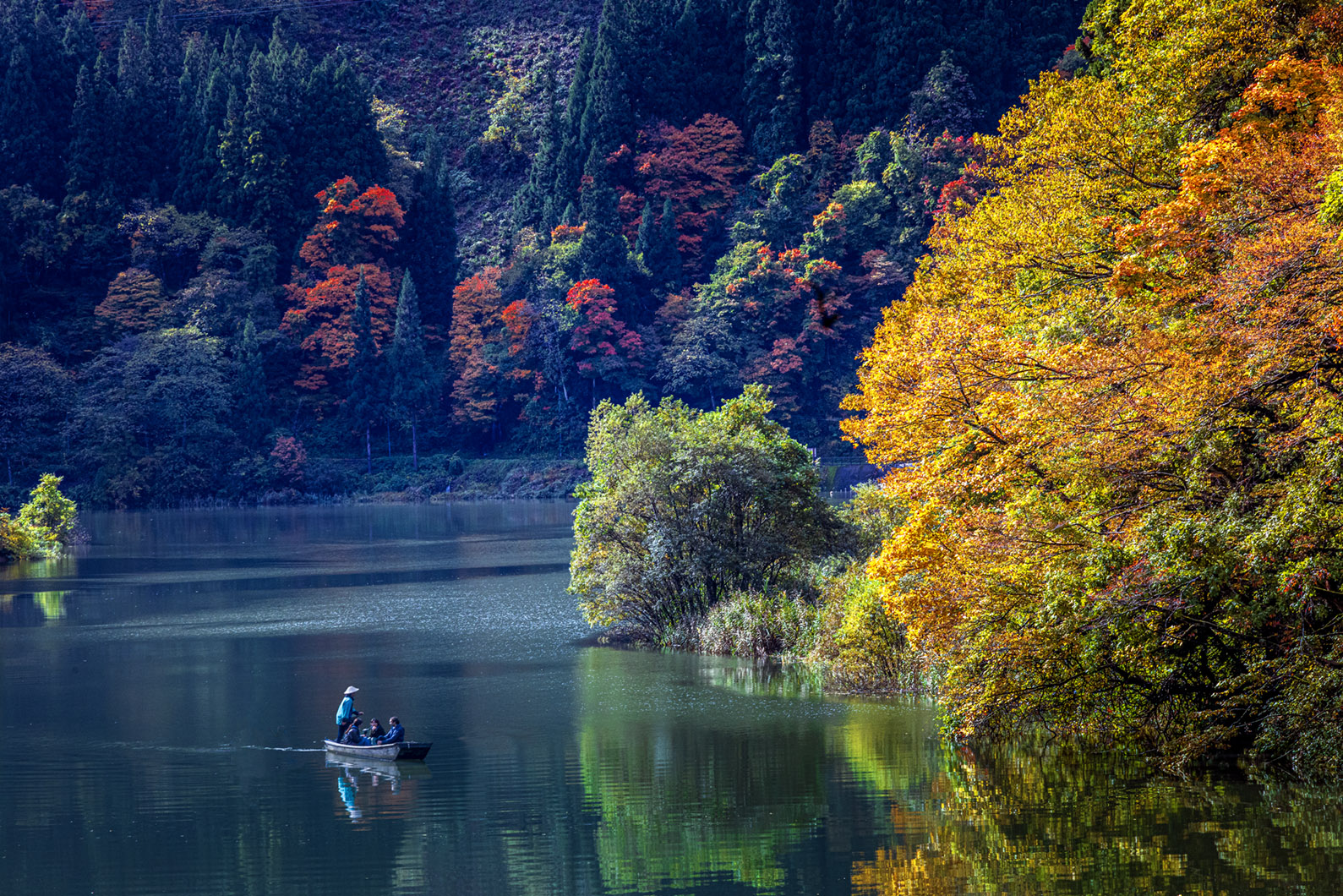 Mugenkyo no Watashi by Pamela Liu