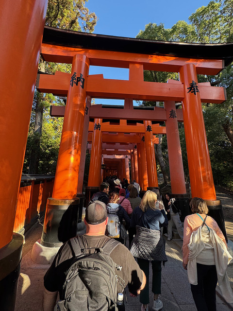 March 2026 - Tom Tauber, APSA, MPSA