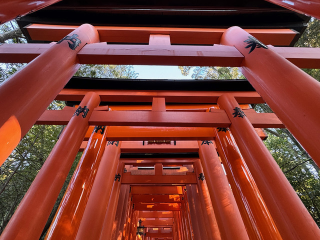 Fushimi Inari Taisha Shrine Kyoto by Tom Tauber