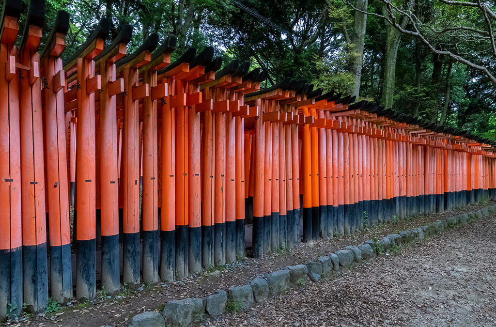 March 2026 - Dr. Isaac Vaisman, APSA, PPSA